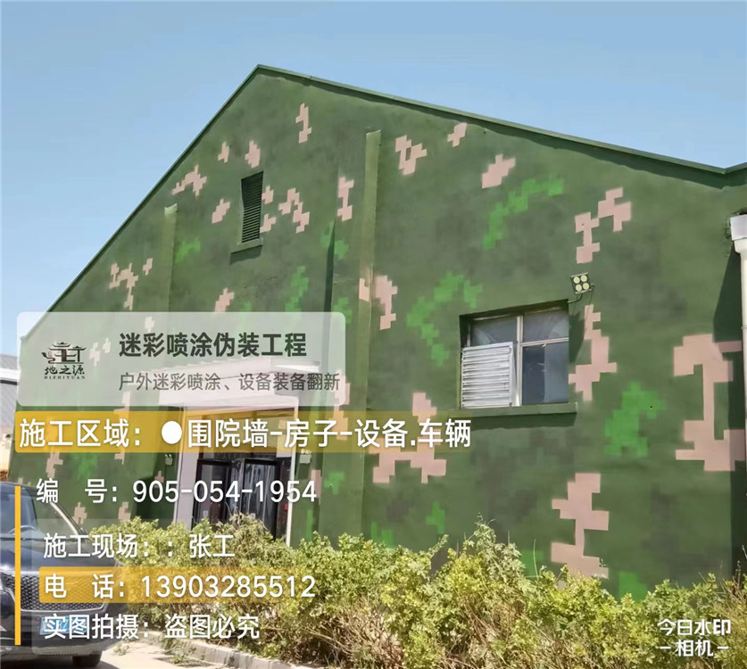 临高外墙数码迷彩漆施工报价清单（100㎡标准墙面测算）
